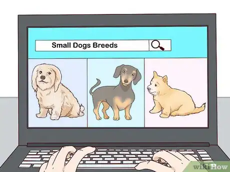 Image titled Choose a Small Dog Step 3