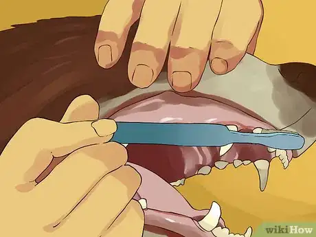 Image titled Give a Small Dog a Bath Step 13