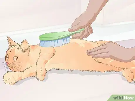 Image titled Keep a Cat Healthy Step 28