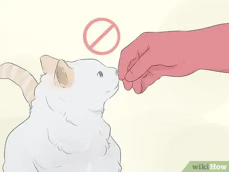 Image titled Care for Animals During the Coronavirus Outbreak Step 2