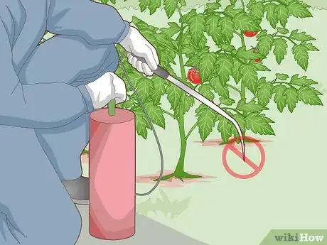 Image titled Attract Tawny Frogmouths Step 5