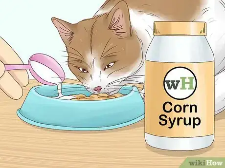 Image titled Prevent a Diabetic Emergency in Cats Step 10