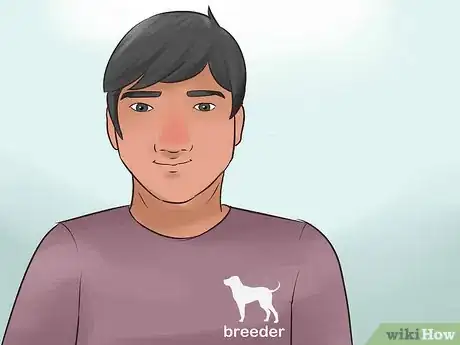 Image titled Identify a Black and Tan Coonhound Step 11