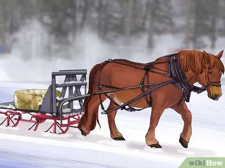 Image titled Care for a Draft Horse Step 7