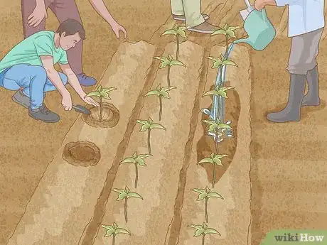 Image titled Help Prevent Desertification Step 8