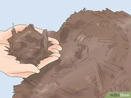 Image titled Prune Drift Roses Step 15