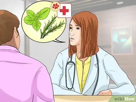 Image titled Holistically Care for a Dog Step 8