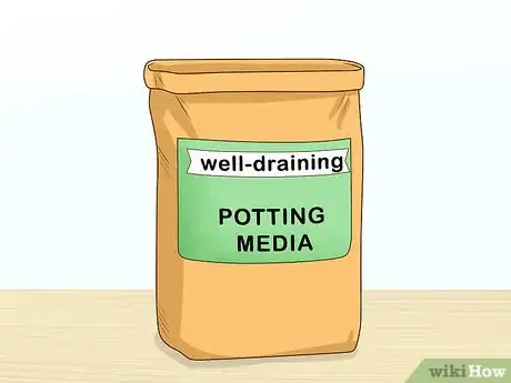 Image titled Grow Carrots in Pots Step 4