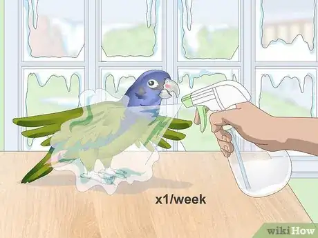 Image titled Keep Pionus Parrots Groomed Step 3
