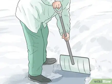 Image titled Help Your Dog Move in the Snow Step 1