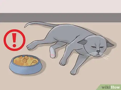 Image titled Change Cat Food Step 5
