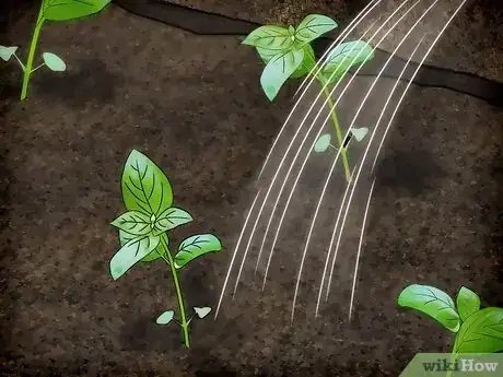 Image titled Plant a Culinary Herb Garden Step 9