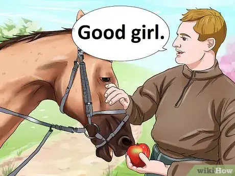 Image titled Get a Head Shy Horse To Trust You Step 6