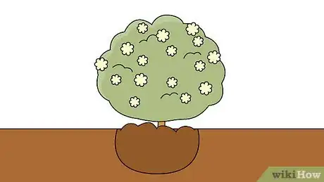 Image titled Plant Viburnum Step 10