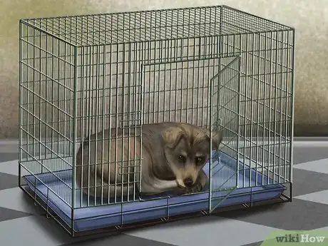 Image titled Set Ground Rules for Your Dog Step 13