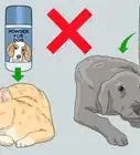 Prevent Flea Bites