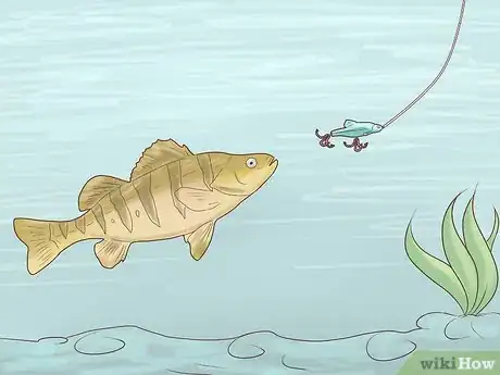 Image titled Catch Yellow Perch Step 5