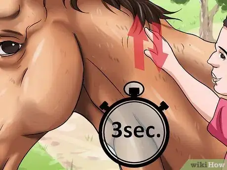 Image titled Get a Head Shy Horse To Trust You Step 5