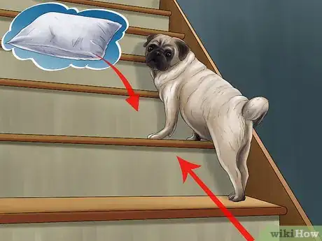 Image titled Give Your Small Dog Enough Exercise Step 9