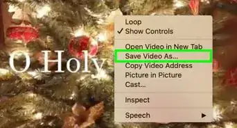 Download YouTube Videos on a Mac