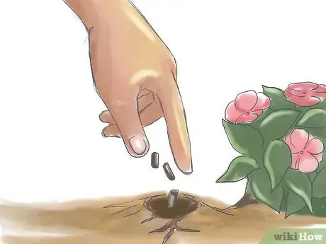 Image titled Fertilize Impatiens Step 6