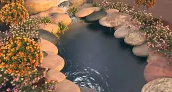 Make a Water Garden