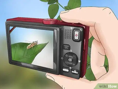 Image titled Photograph Insects Step 1