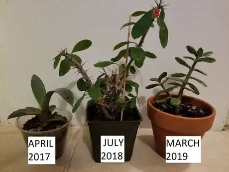 Image titled Whenwasthelastrepot