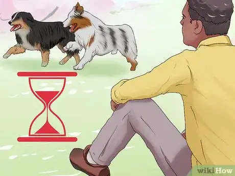 Image titled Introduce a New Dog to Your Senior Dog Step 8