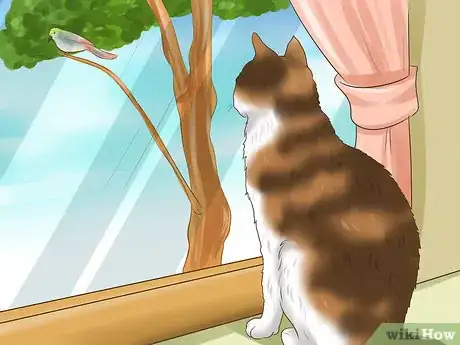 Image titled Take Care of an American Wirehair Cat Step 10