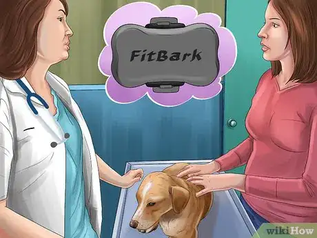 Image titled Track Your Dog's Patterns Step 10