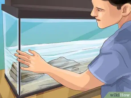 Image titled Start a Saltwater Aquarium Step 19