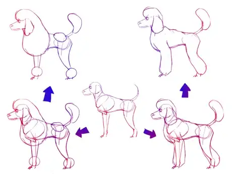 Image titled Poodle7.png