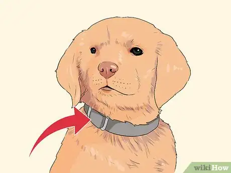 Image titled Look After Your First Puppy Step 7