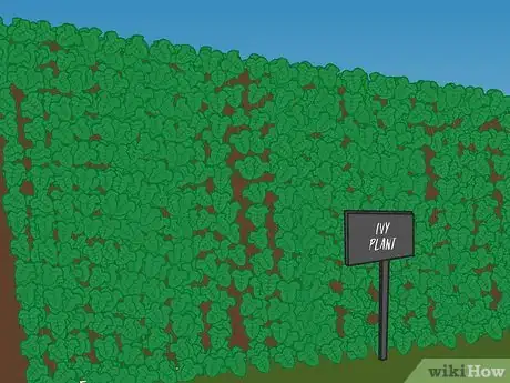 Image titled Choose Ground Cover Plants Step 06