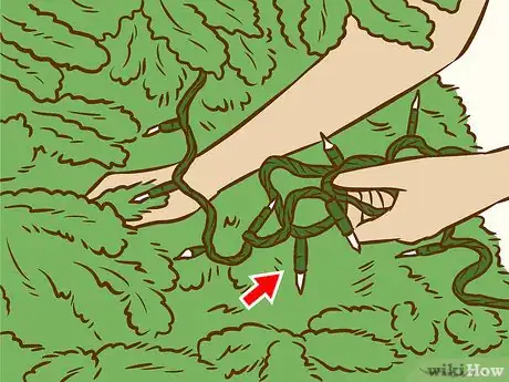 Image titled Decorate a Christmas Tree in Ombre Step 3