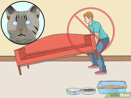 Image titled Adopt a Special Needs Cat Step 5