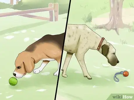 Image titled Introduce a New Dog to Your Senior Dog Step 2