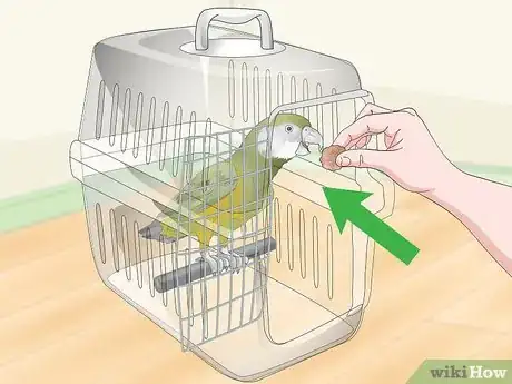 Image titled Deal with a Fearful or Stressed Senegal Parrot Step 17