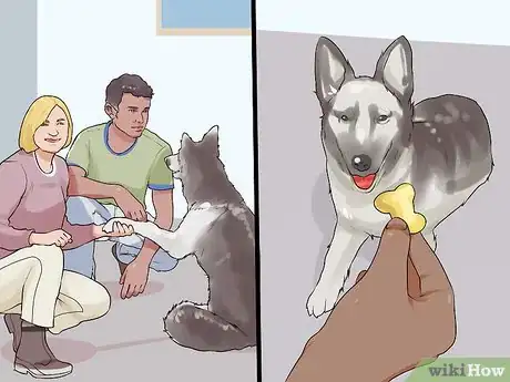 Image titled Introduce Your New Dog to the Neighbors Step 12