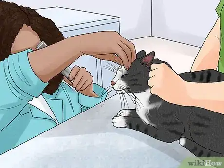 Image titled Protect Pets from Secondhand Smoke Step 11