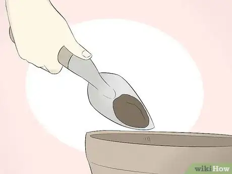 Image titled Grow Cactus in Containers Step 7