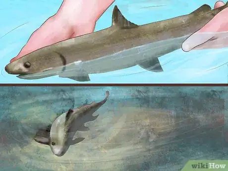 Image titled Hold a Fish Step 13