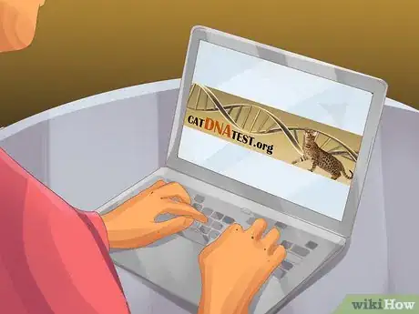 Image titled Collect Bodily Fluid Samples from a Cat Step 18