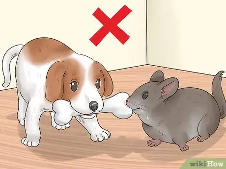 Image titled Keep Chinchillas Safe from other Pets Step 9