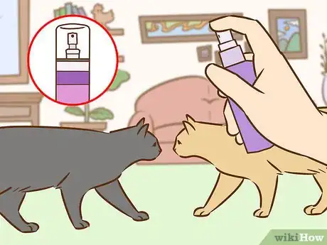 Image titled Referee Two Irritable Cats That Don't Get Along Step 4
