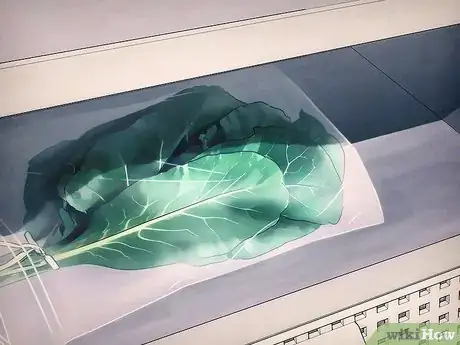 Image titled Buy Collard Greens Step 7