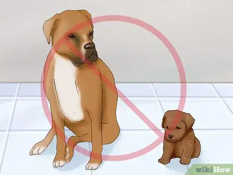 Image titled Introduce a New Dog to Your Senior Dog Step 1