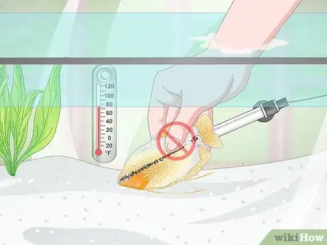 Image titled Prevent Fish From Getting Sick Step 8