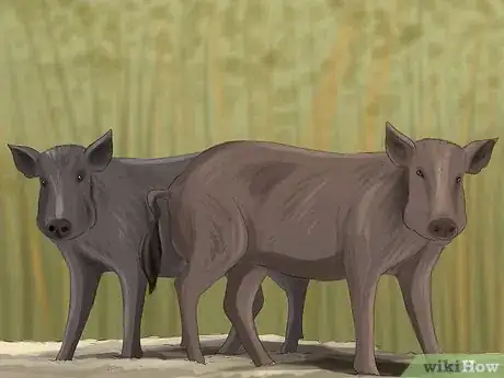 Image titled Identify Empathy in Animals Step 1